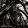 Hollow Tree - One Hundred Forty Four