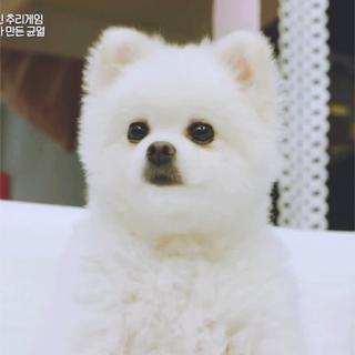 heart signal2 吴英珠歌单/更新中