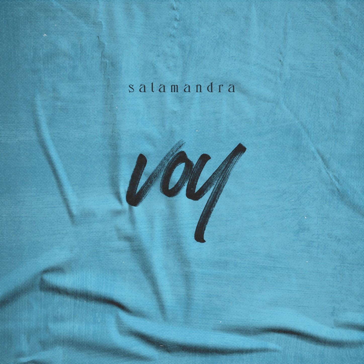 Voy