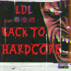 Back to Hardcore feat. 秦浩燃