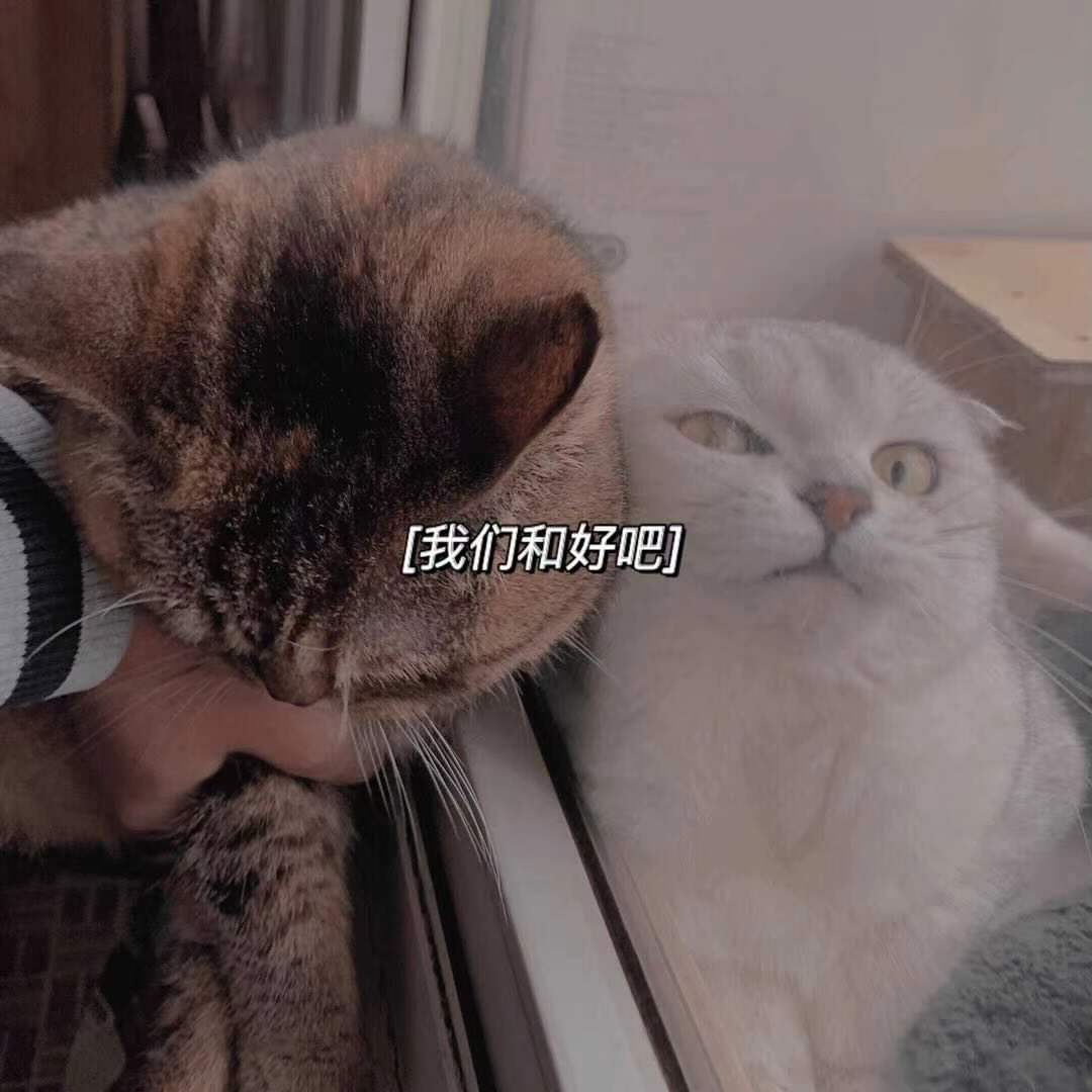 我们和好吧