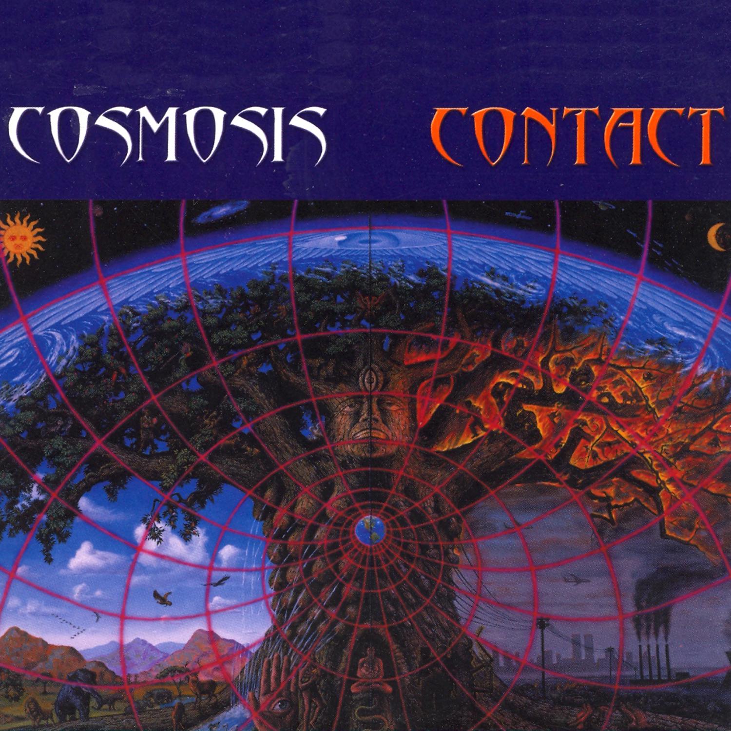 Cosmosis - Innerspace