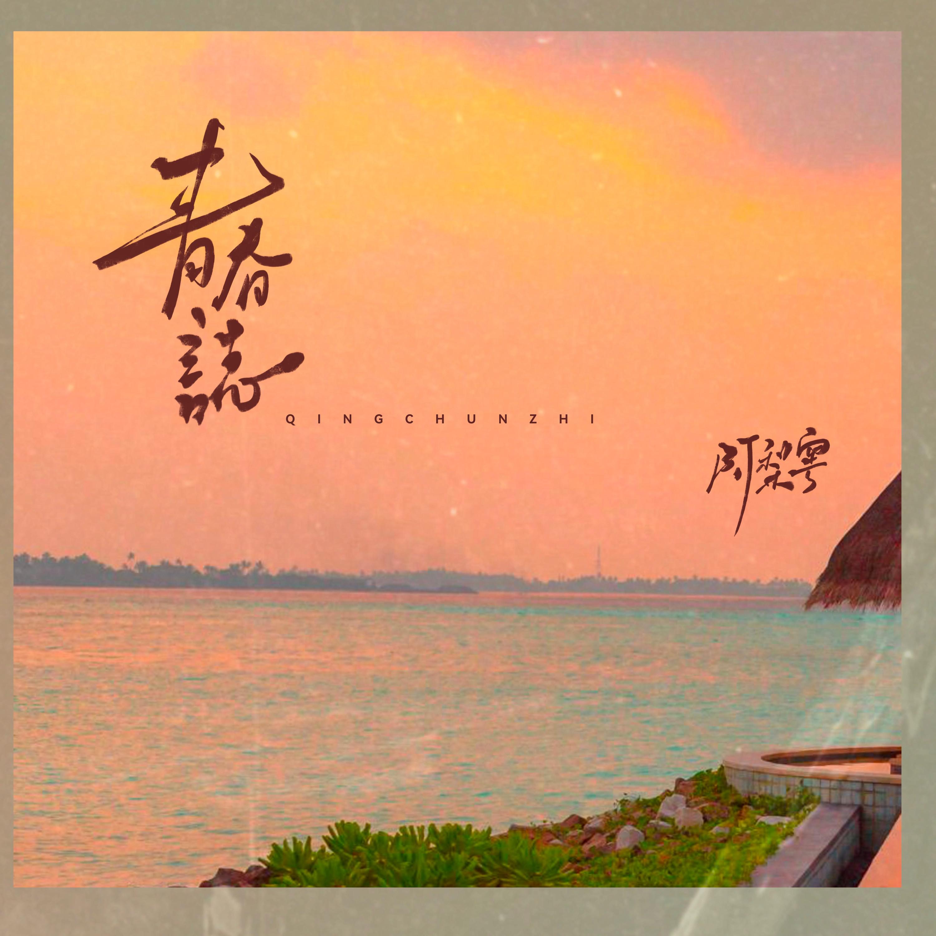 青春誌专辑