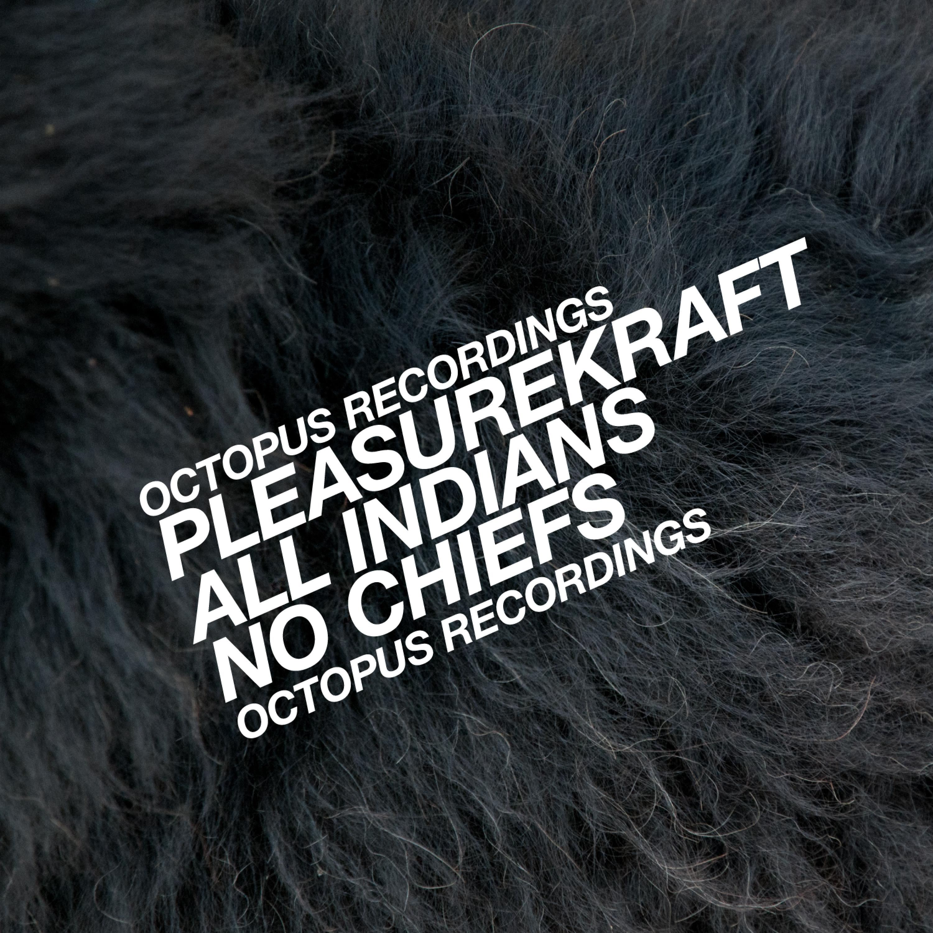 All Indians, No Chiefs