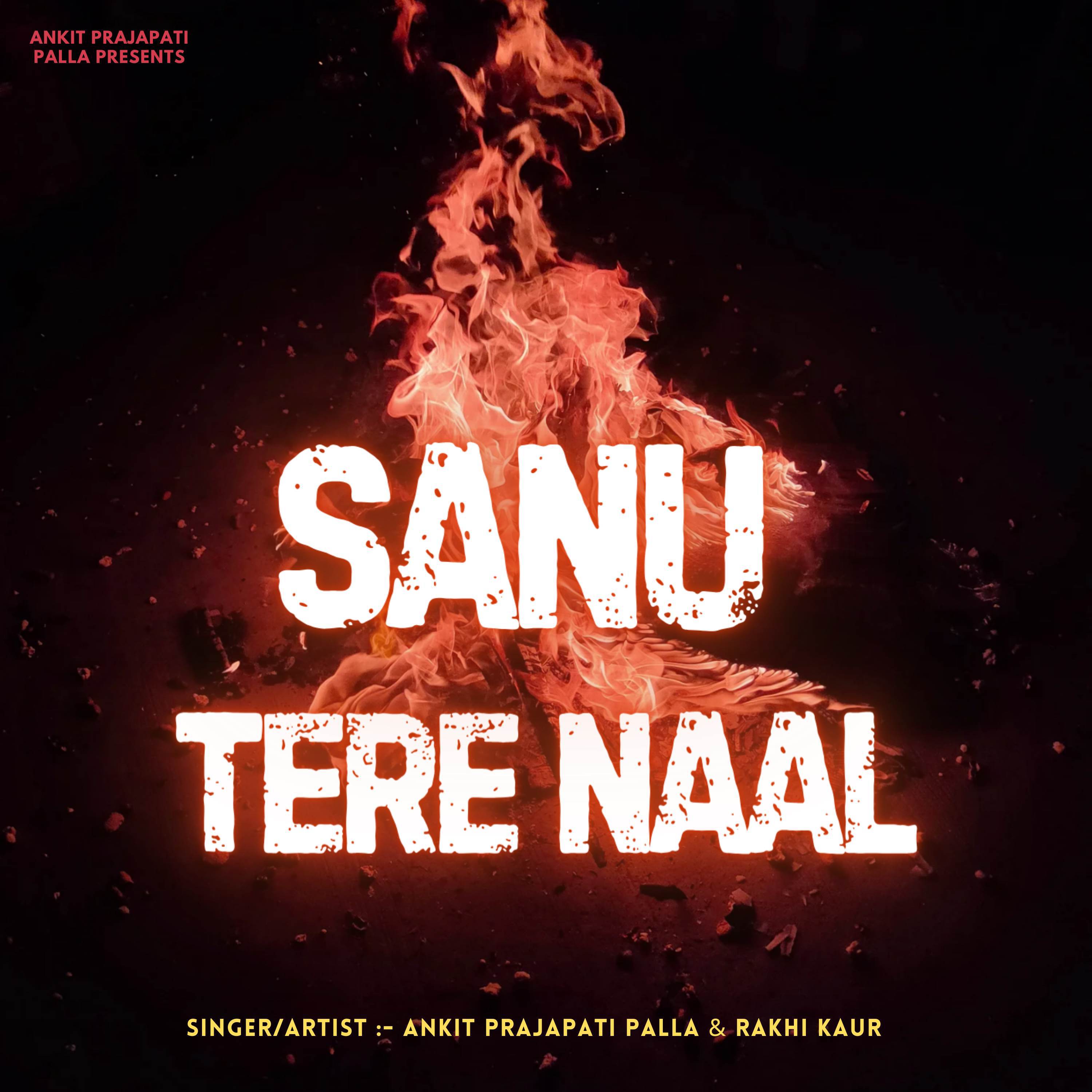 Ankit Prajapati Palla - Sanu Tere Naal