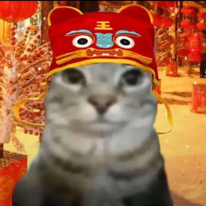 爱猫FM|哈基米FM|叮咚鸡胖宝宝(已停更) - 主播电台 - 网易云音乐