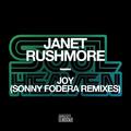 Joy (Sonny Fodera Remixes)