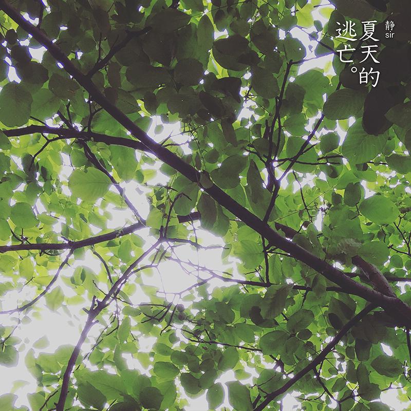 夏天的逃亡