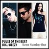Pulse Of The Beat - Been Number One