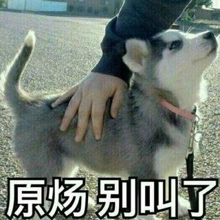 原耽女孩冲鸭！淮上/巫哲/Priest/非天夜翔