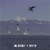 心酸暗收藏