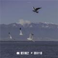 我又想起她