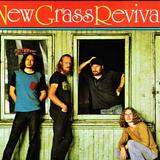 New Grass Revival