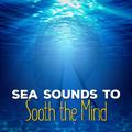 Sea Sounds to Sooth the Mind