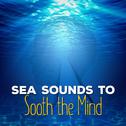 Sea Sounds to Sooth the Mind专辑