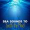 Sea Sounds to Sooth the Mind专辑