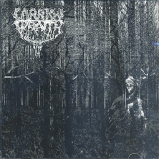 Carrion Wraith