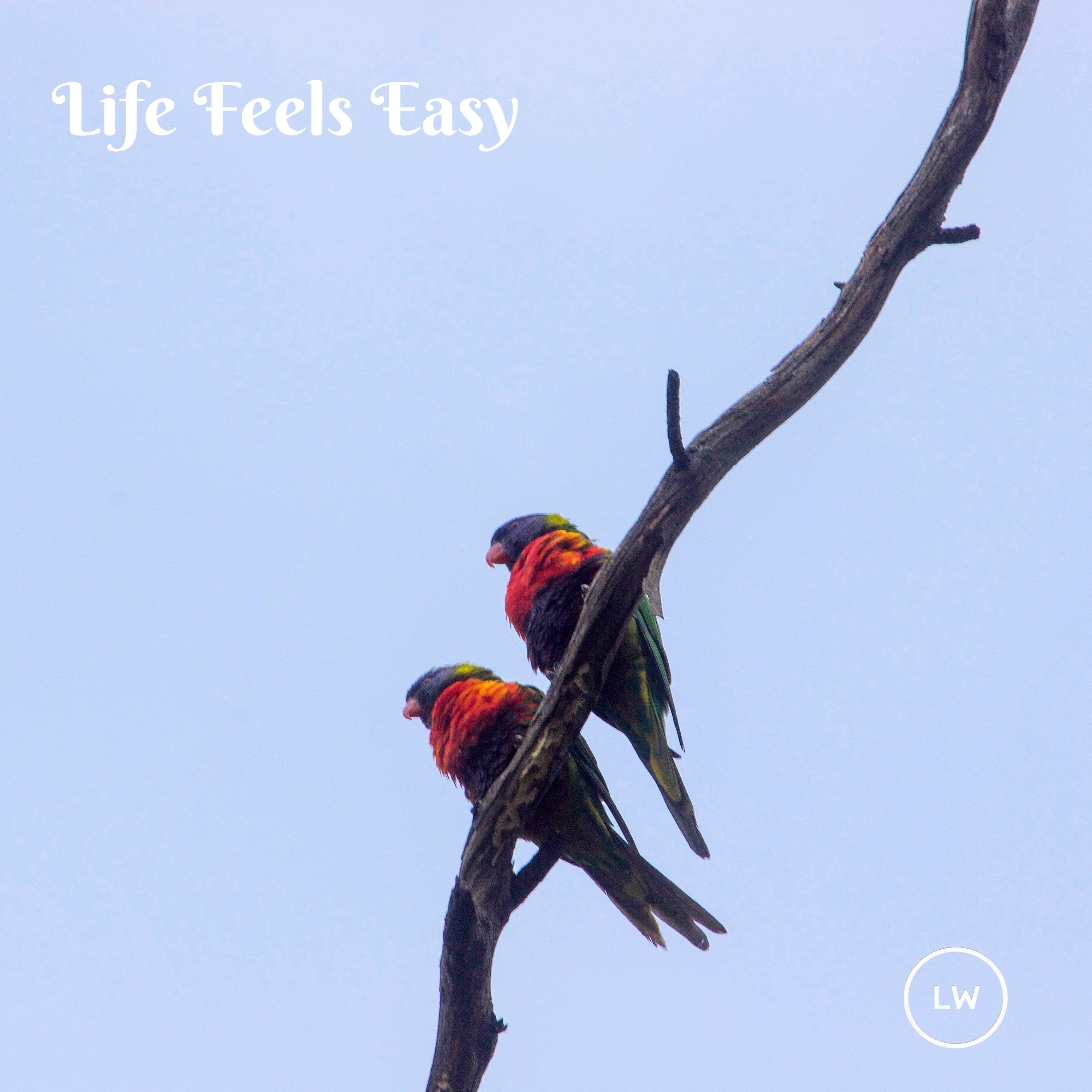 Life Feels Easy (Alternate Version)