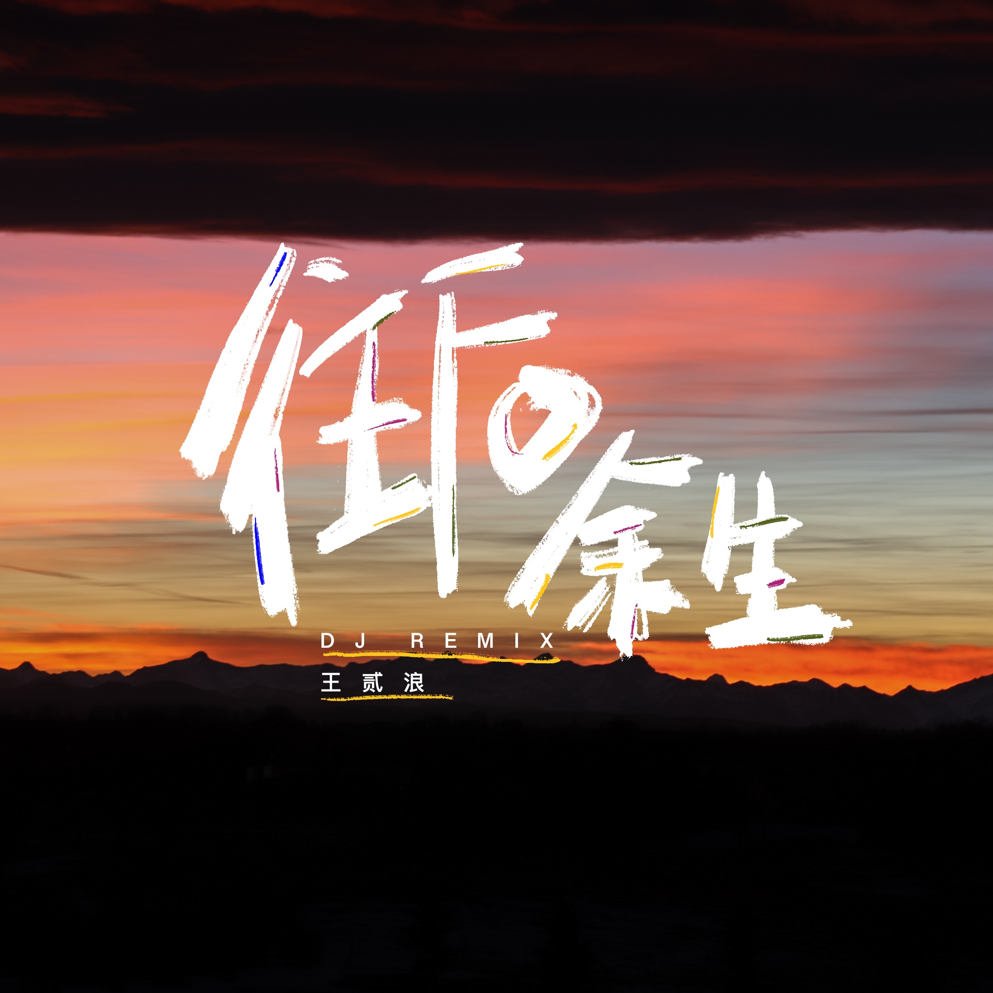 王贰浪-往后余生（DJ版）
