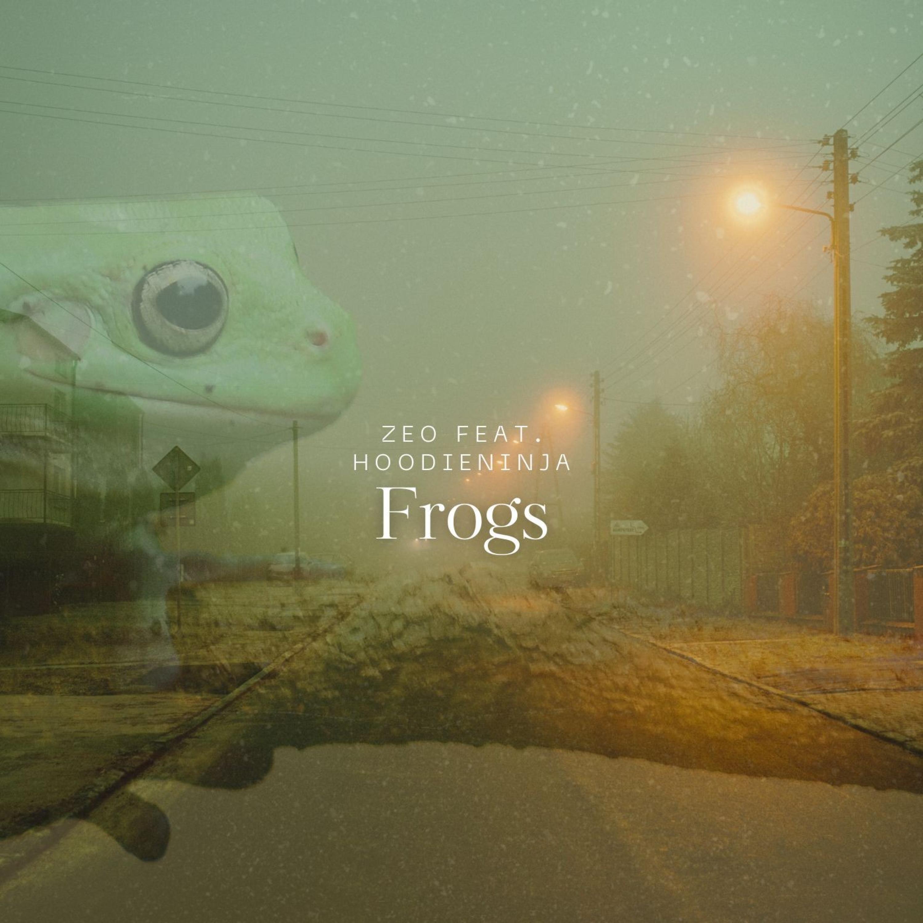 ZEO - Frogs (feat. Hoodieninja)