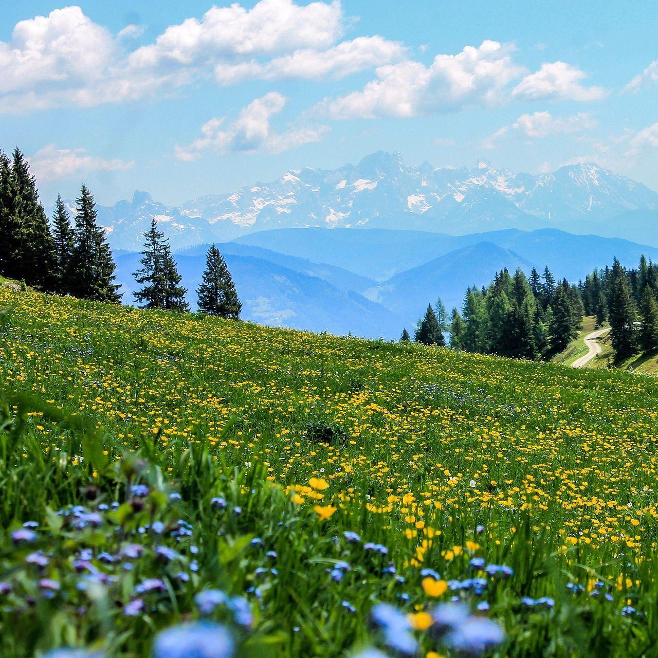 Blooming with vitality