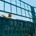 青春之歌(Zark Z Remix)专辑