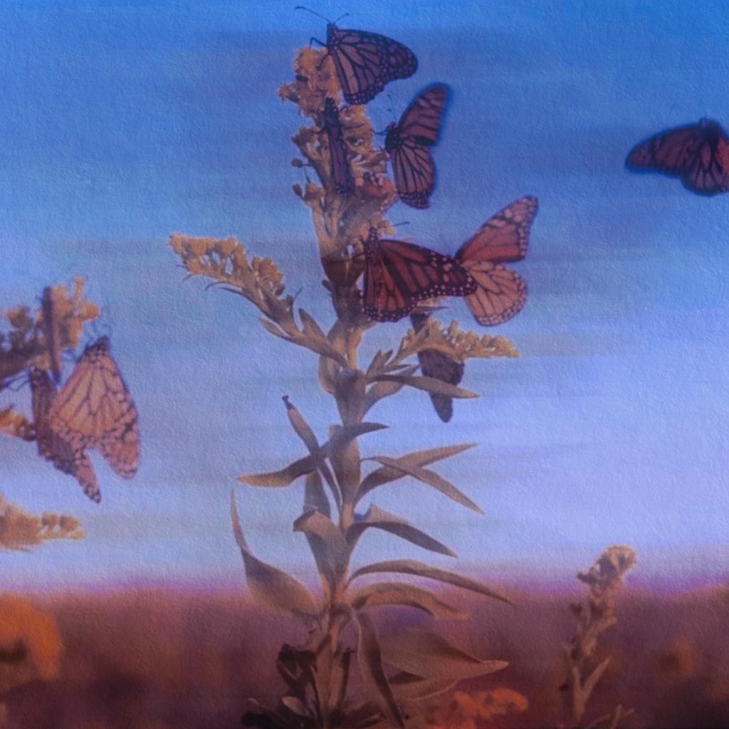 [FREE]"晨昏线"-Melody trap beat