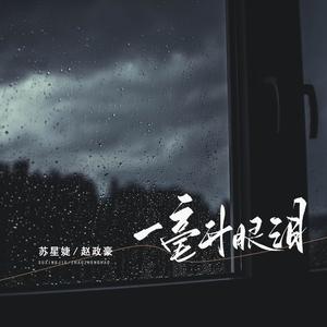 苏星婕、赵政豪 - 一毫升眼泪 (伴奏)