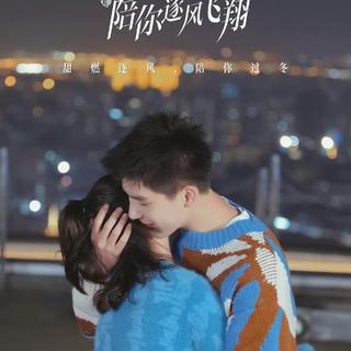 陪你逐风飞翔 电视剧原声带