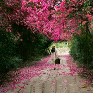 我没什么遗憾，做过梦饮过酒度过春风见过你