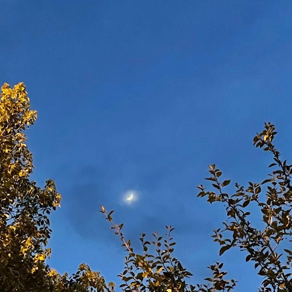 Spring Rain(春夜OST Cover)（翻自 Oscar Dunbar）