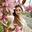 Gulbahar_257