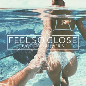 Calvin Harris - Feel So Close （升8半音）