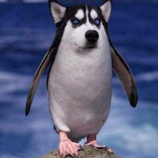 欢乐向‖恐怖片 恐怖游戏壮胆