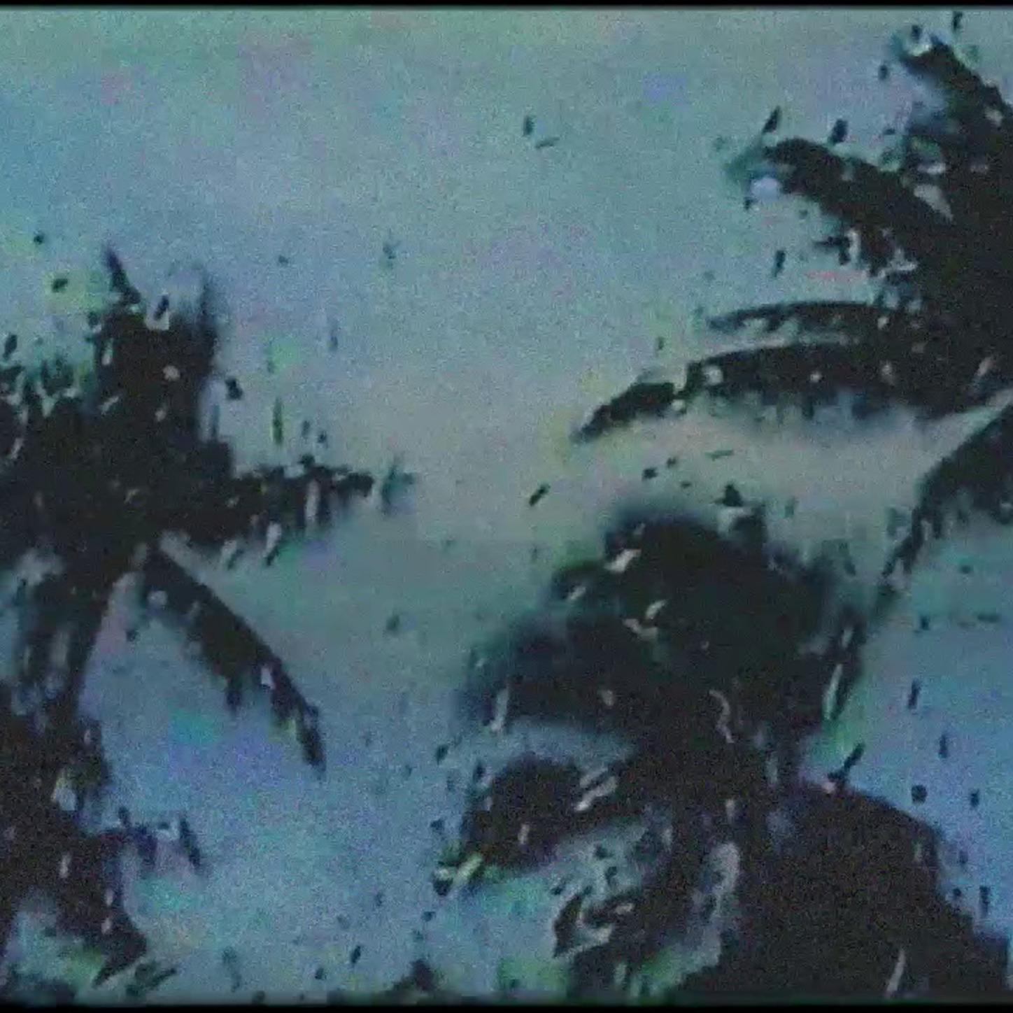 Heavy Rain