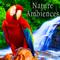 Nature Ambiences, Vol. 2专辑