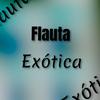 DJ RAFA MOLINA - Flauta Exótica