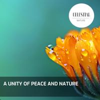 A Unity of Peace and Nature