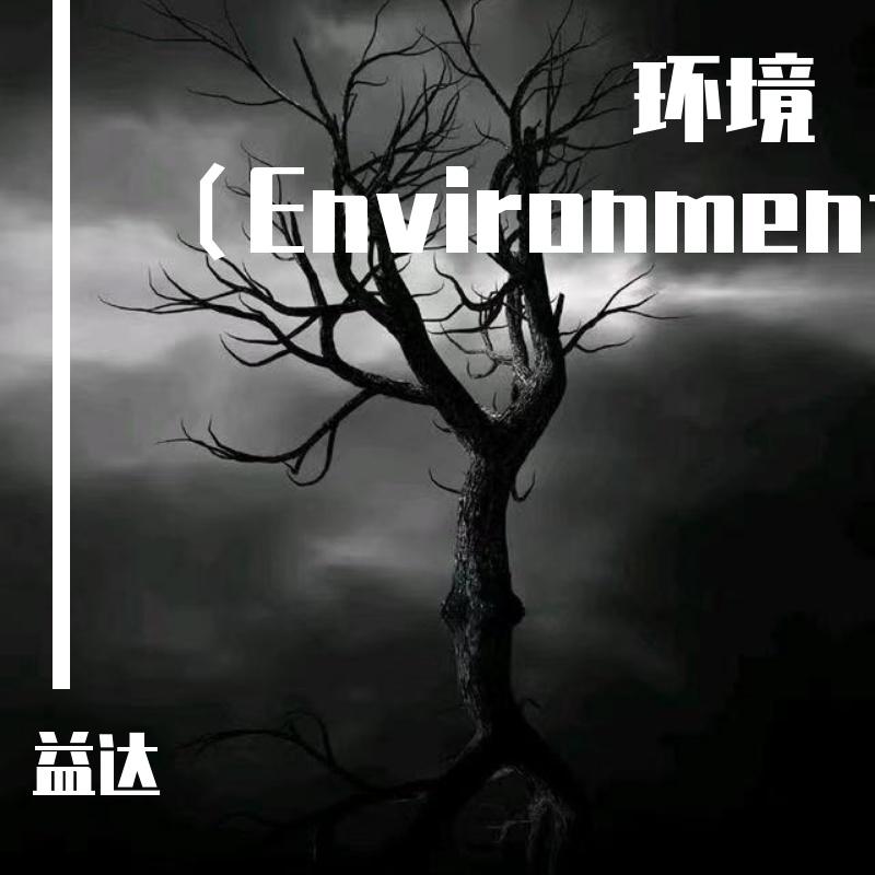 环境（Environment）