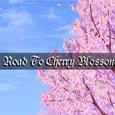 Road To Cherry Blossom