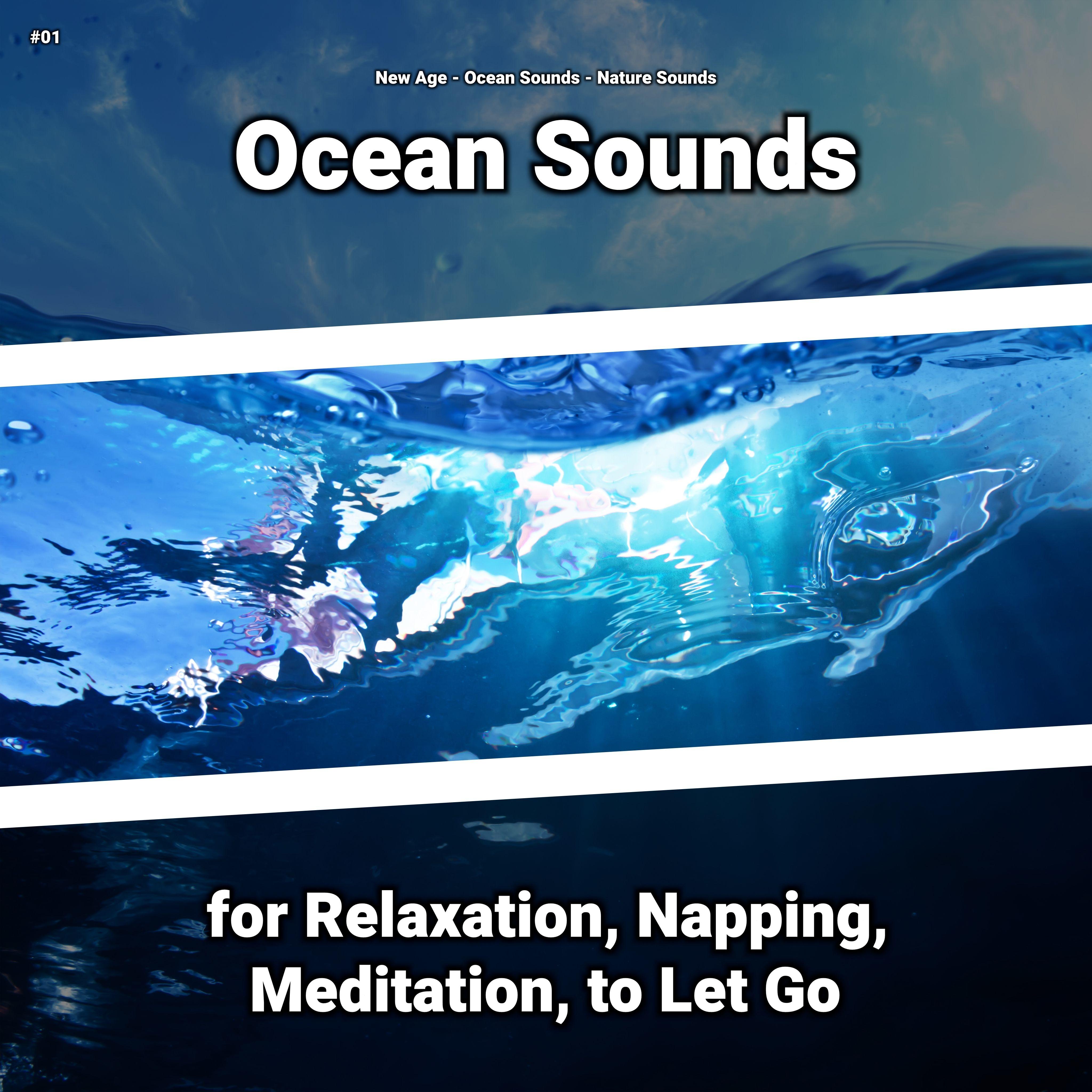 Nice Sounds Nice Ocean Waves - New Age/Ocean Sounds/Nature Sounds - 单曲 - 网易云音乐