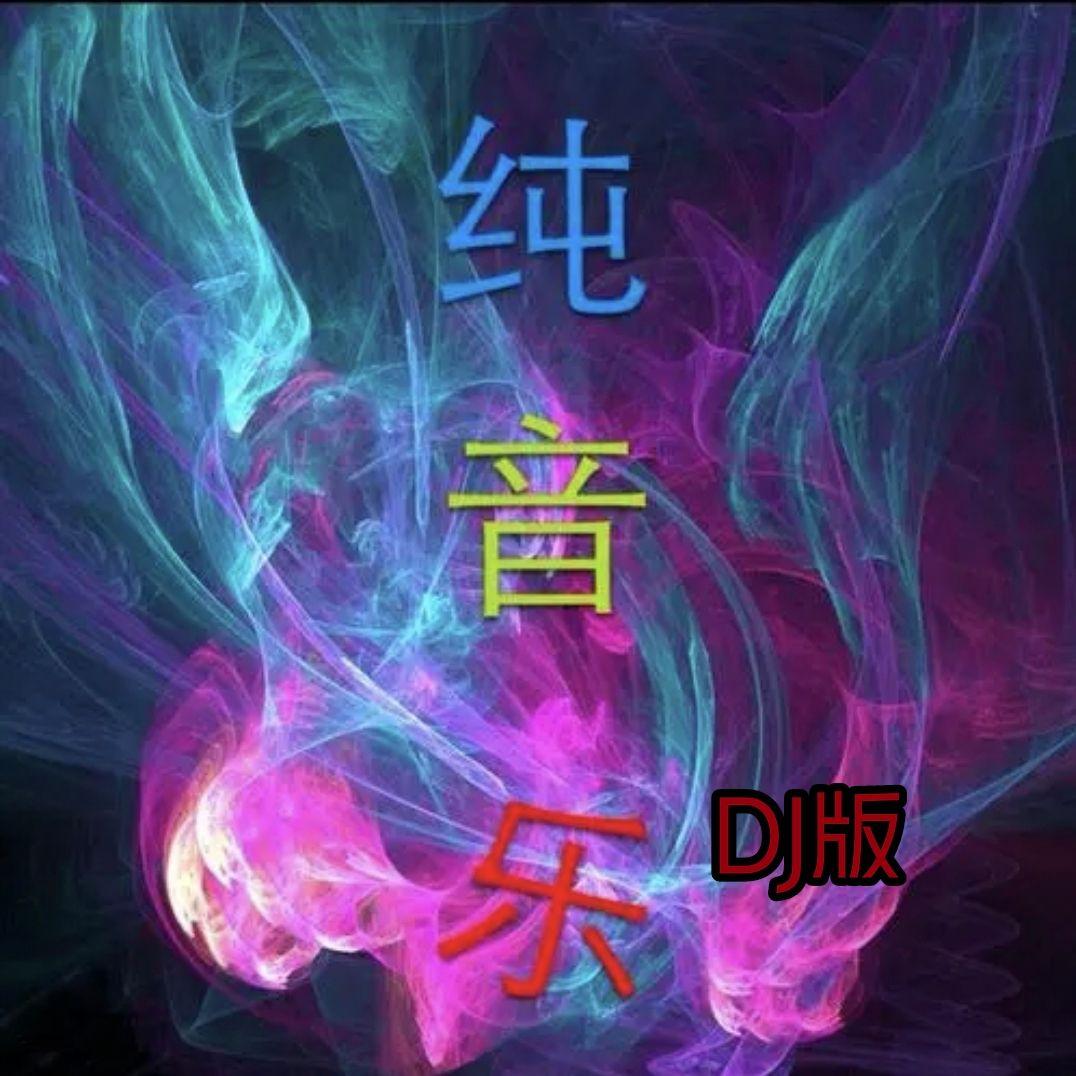 北国之春（DJ版）