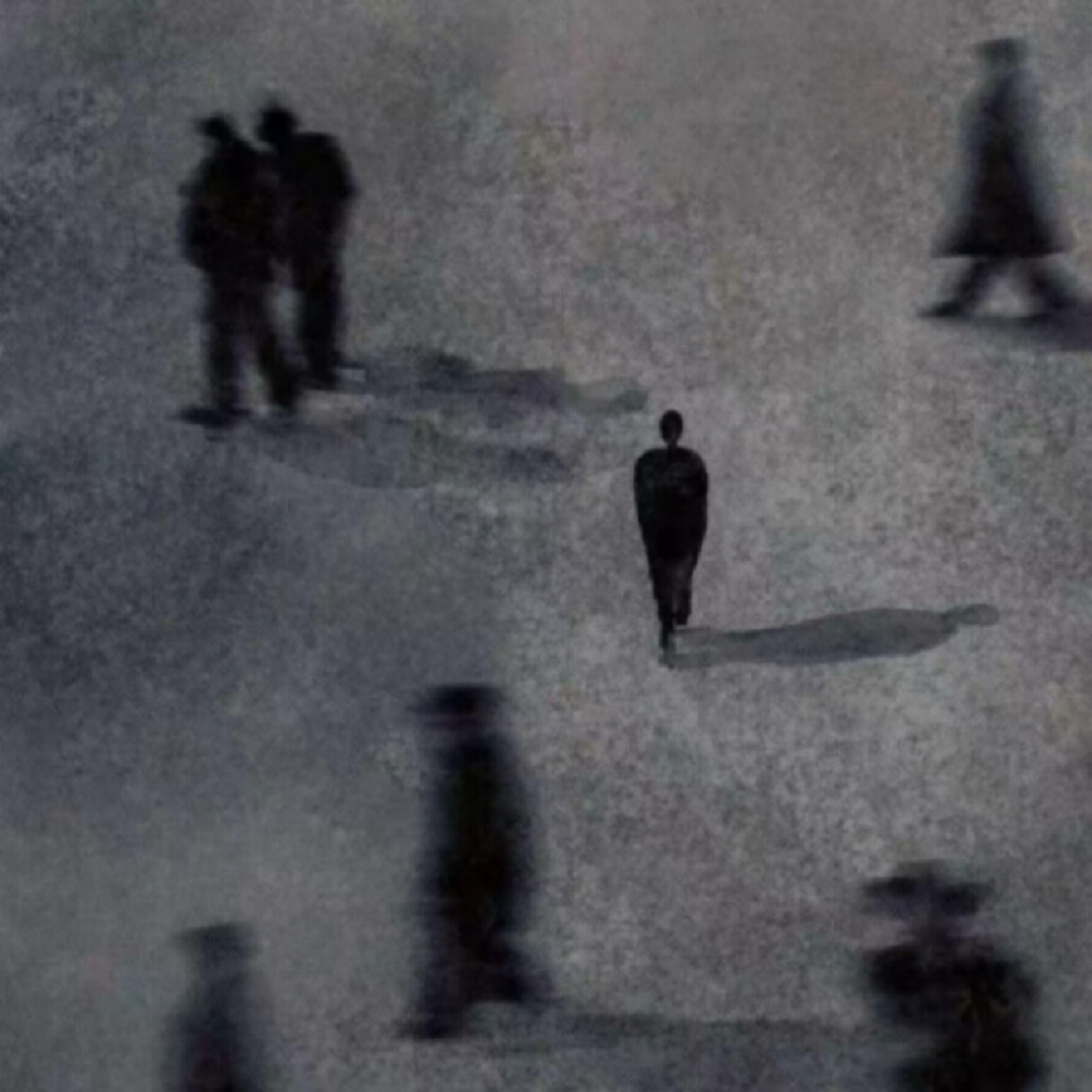 Mr. Lonely