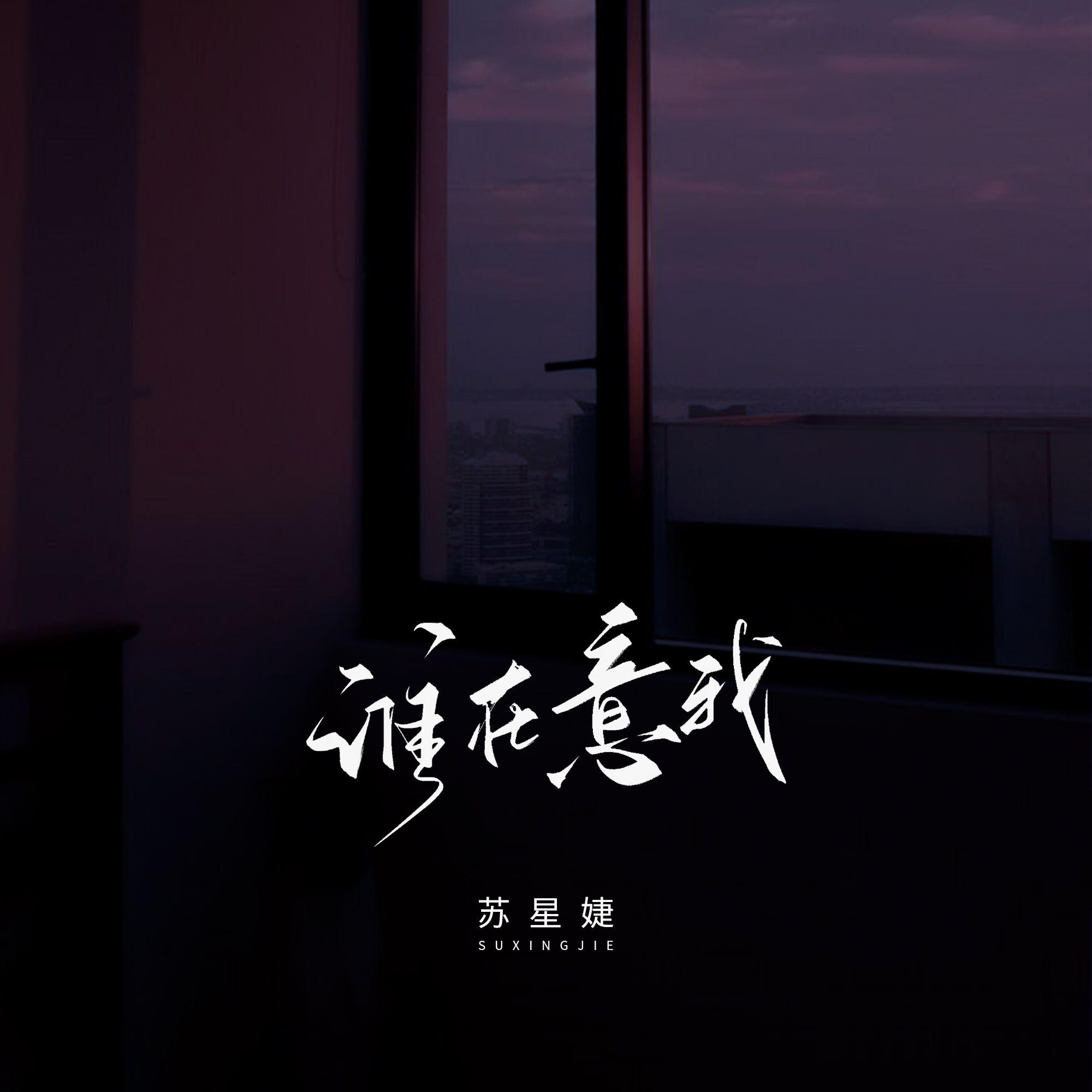 谁在意我
