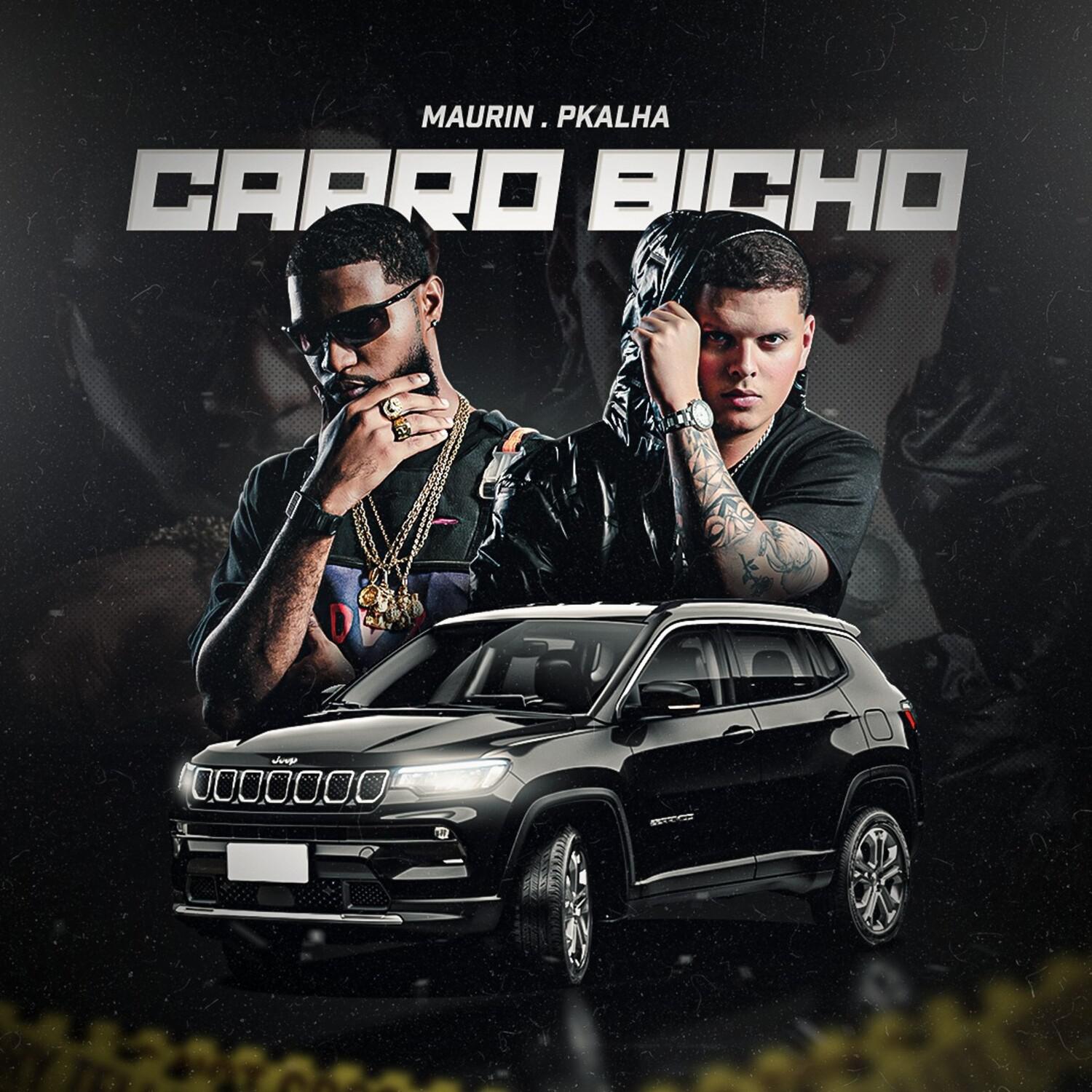 Pkalha - Carro Bicho