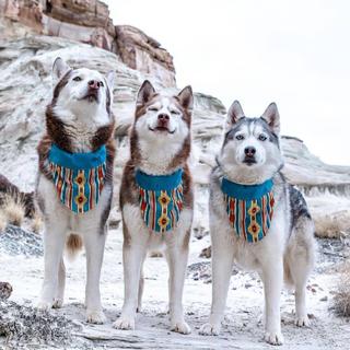 Alrocco&Malasung&HigherBrothers