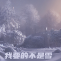 我要的不是雪