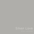 Silver Love