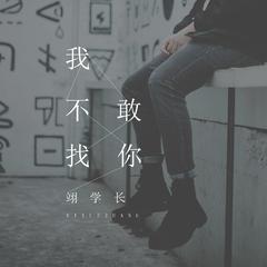 我不敢找你 (伴奏)