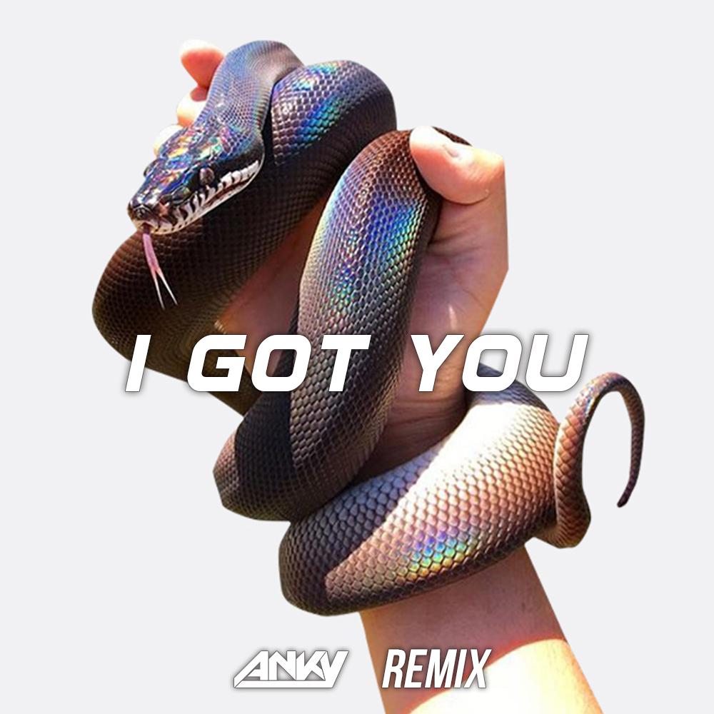 I Got You(Remix)专辑